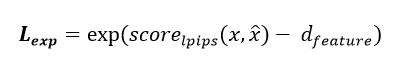 Exponential Loss Equation
